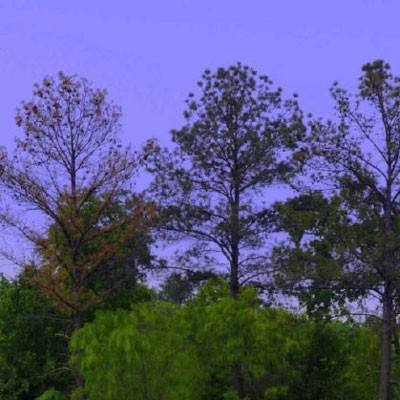 ROR体育官网登录入口