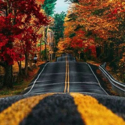 博鱼·中国体育官网