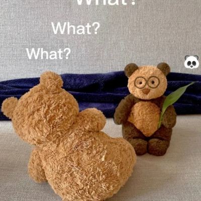 BIBO必博·体育截图