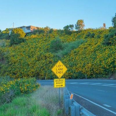 今天买什么特马app下载