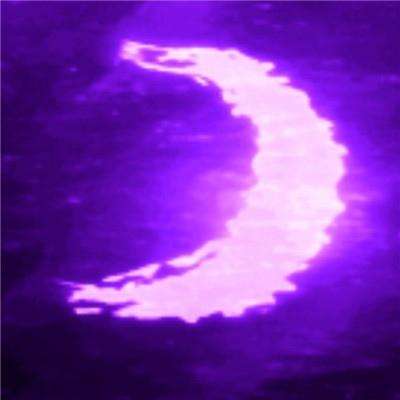 ROR体育官网登录入口