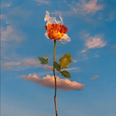 球探比分旧版大全app下载