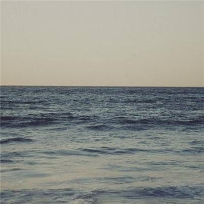 4949澳门免费资料大全下载手机版