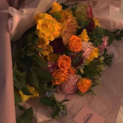 球探比分旧版大全app下载截图