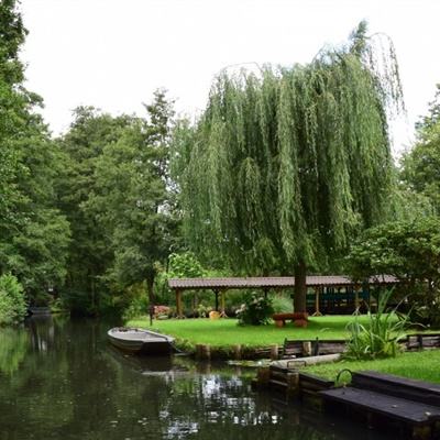 一分赛车app下载官方