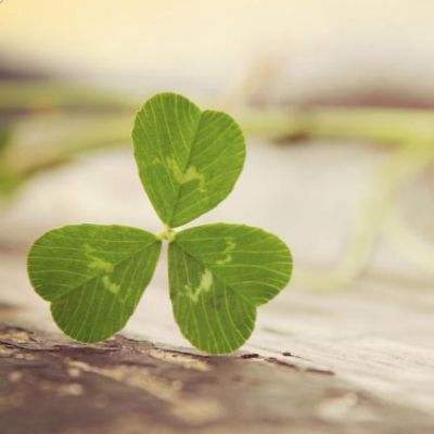 金年汇app官方网