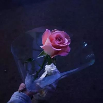 澳门威尼斯人软件